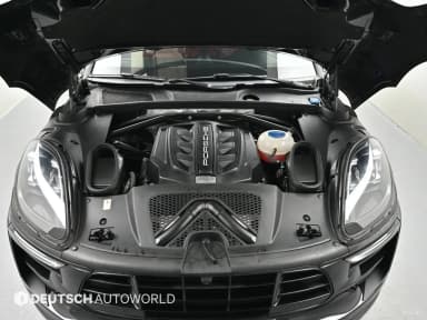 Macan