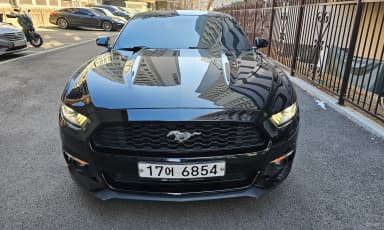 Mustang