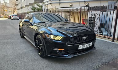 Mustang