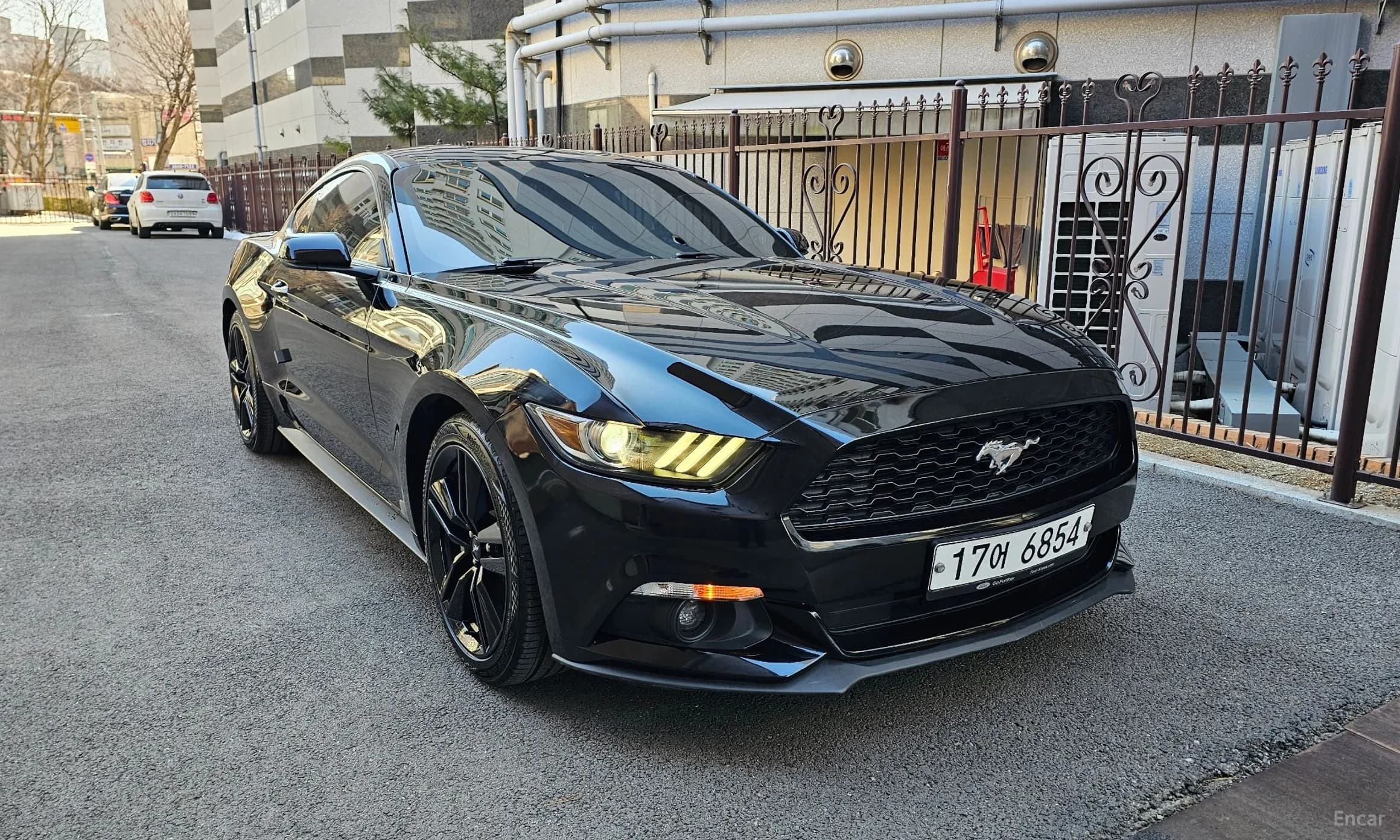 Mustang