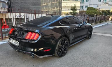Mustang