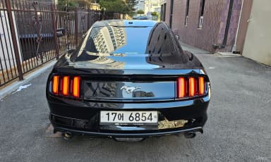 Mustang