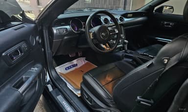 Mustang