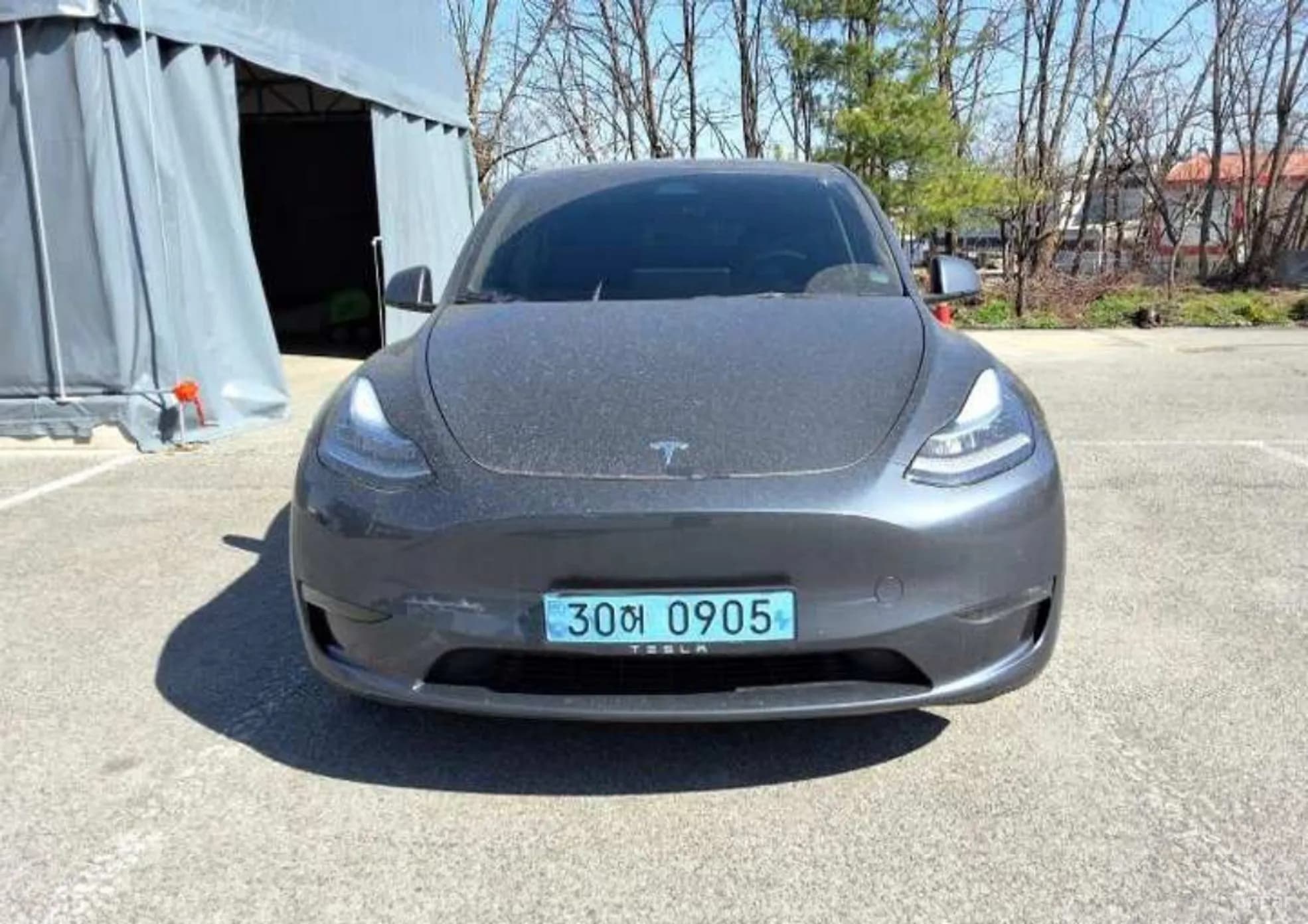 Model Y