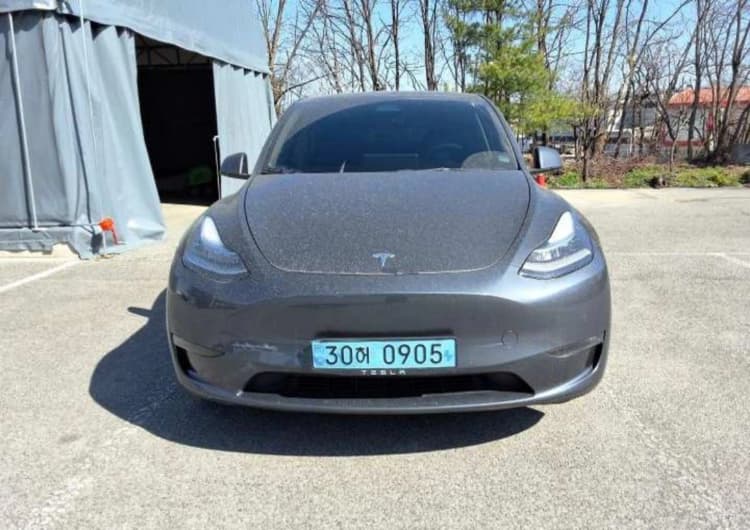 Model Y