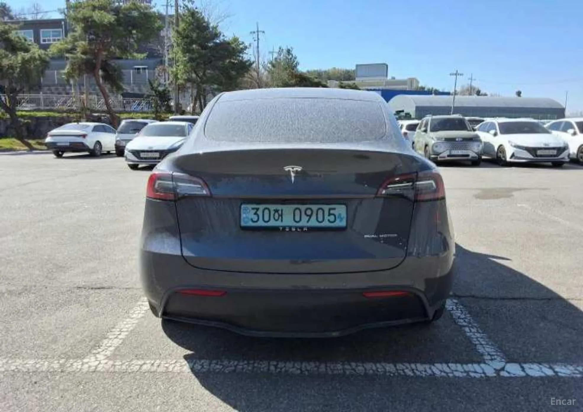 Model Y