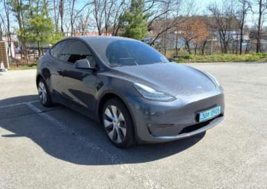 Model Y
