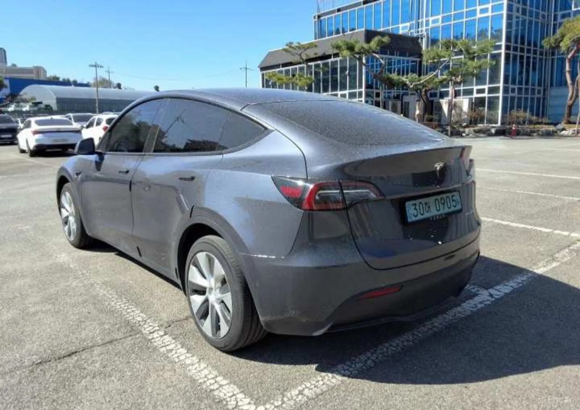 Model Y