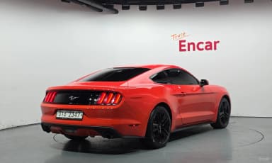 Mustang