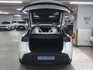 Model Y