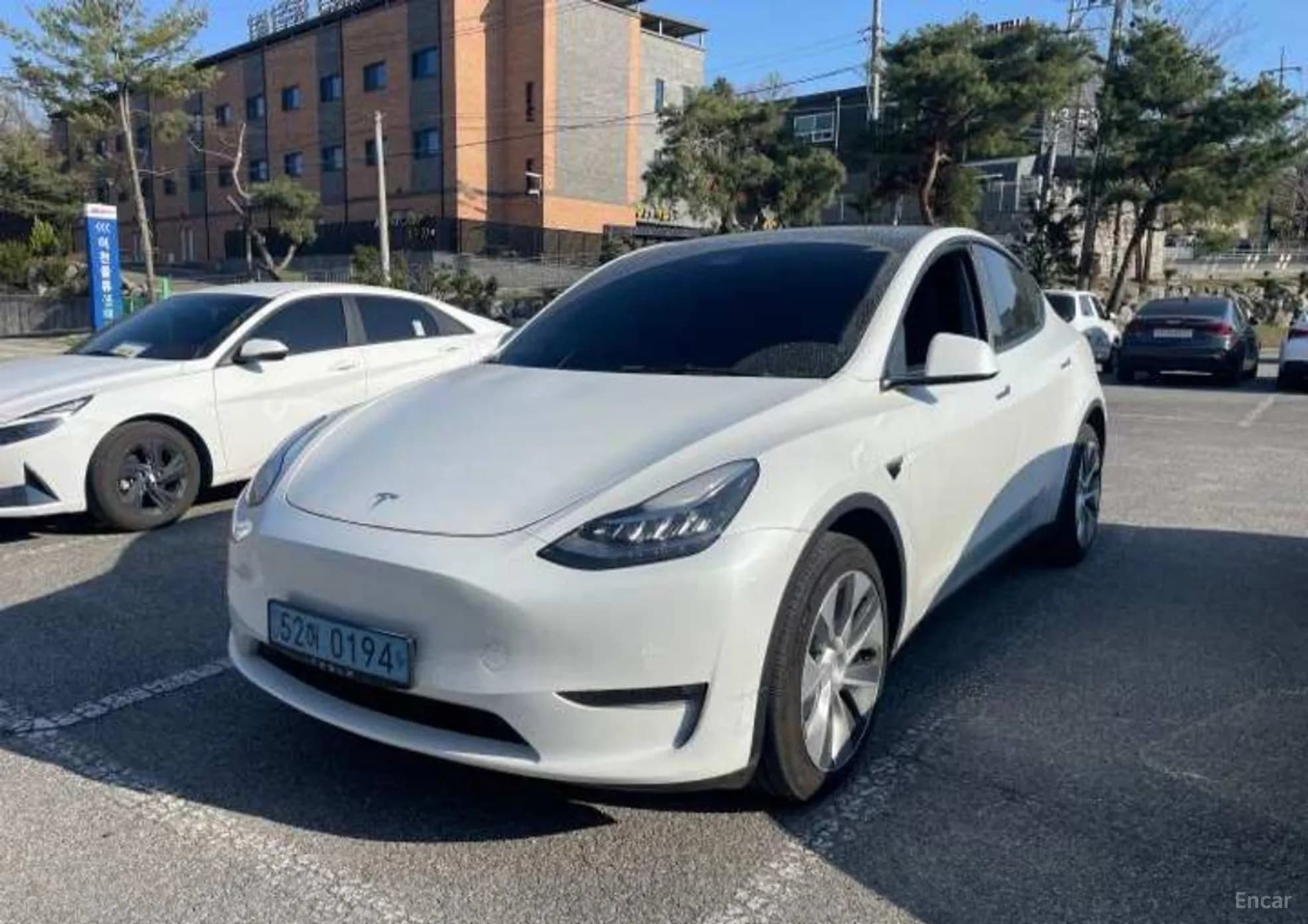 Model Y