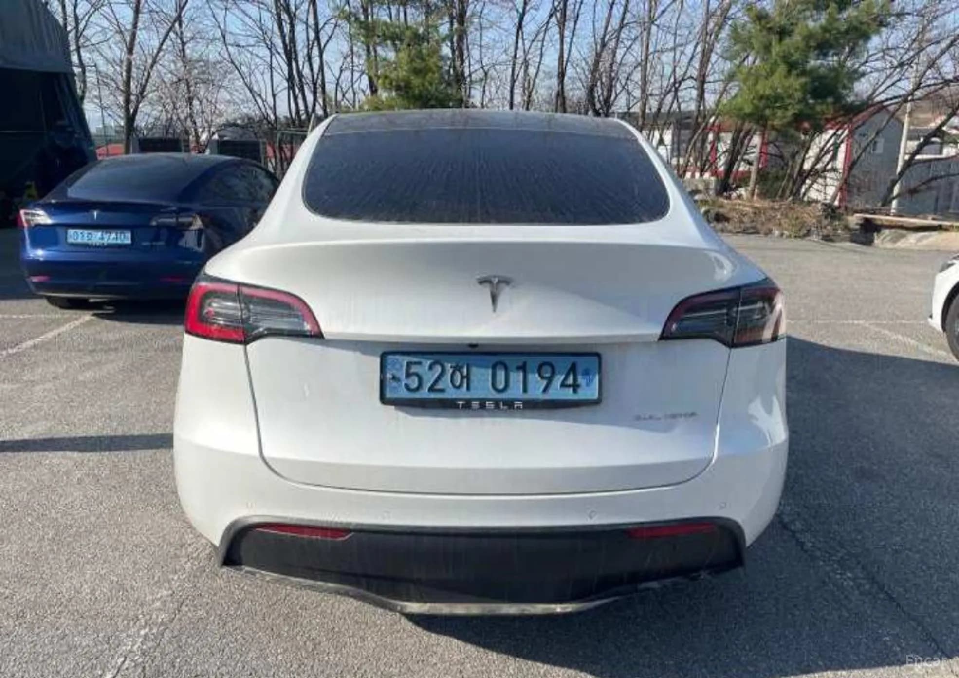 Model Y