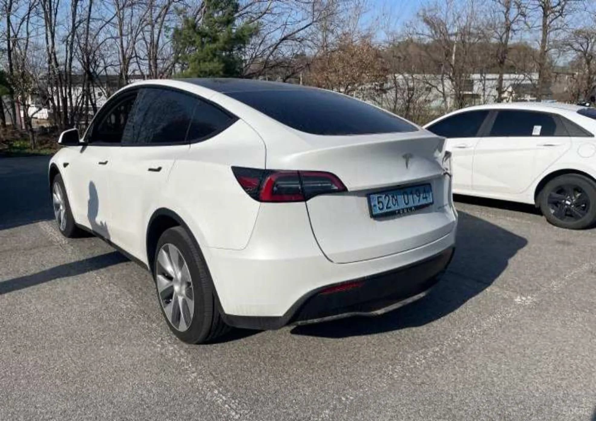 Model Y