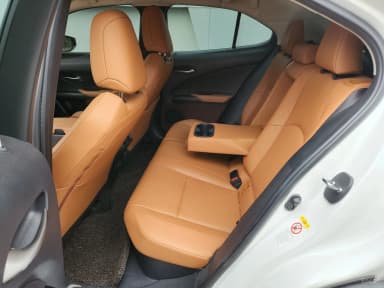 UX250h
