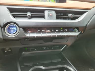 UX250h