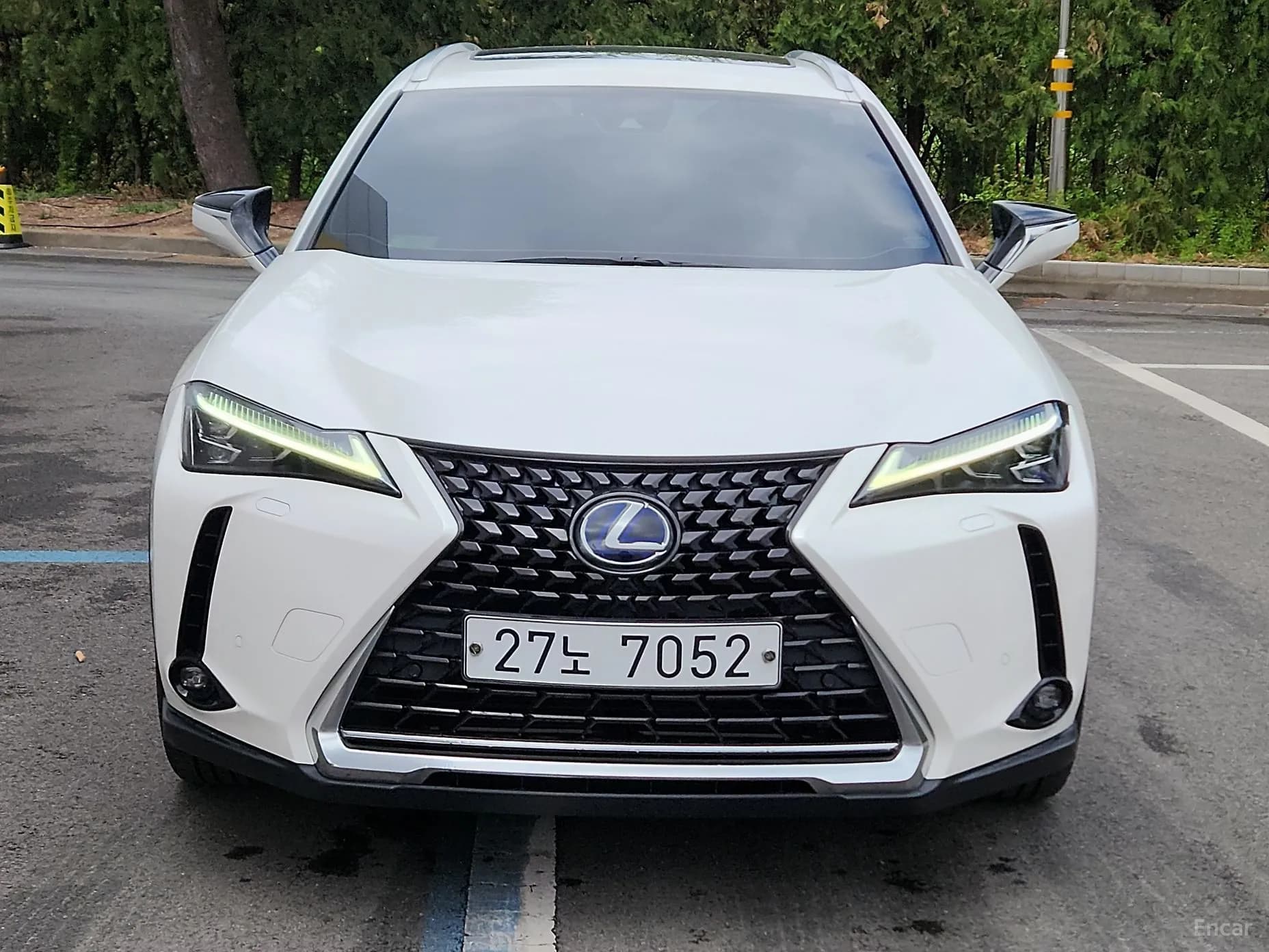 UX250h