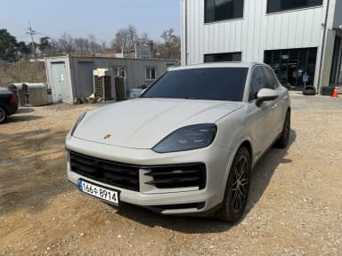 Cayenne (PO536)