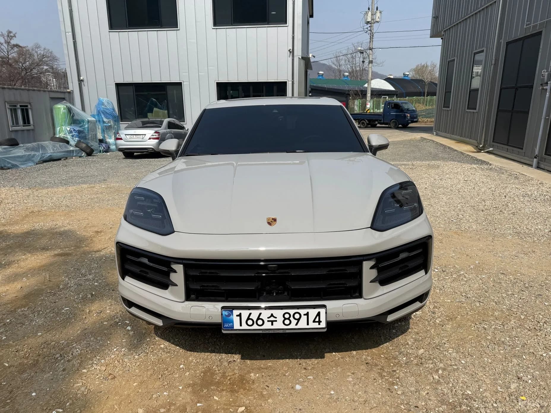 Cayenne (PO536)