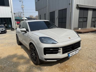 Cayenne (PO536)