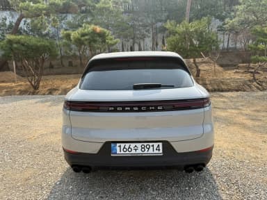 Cayenne (PO536)