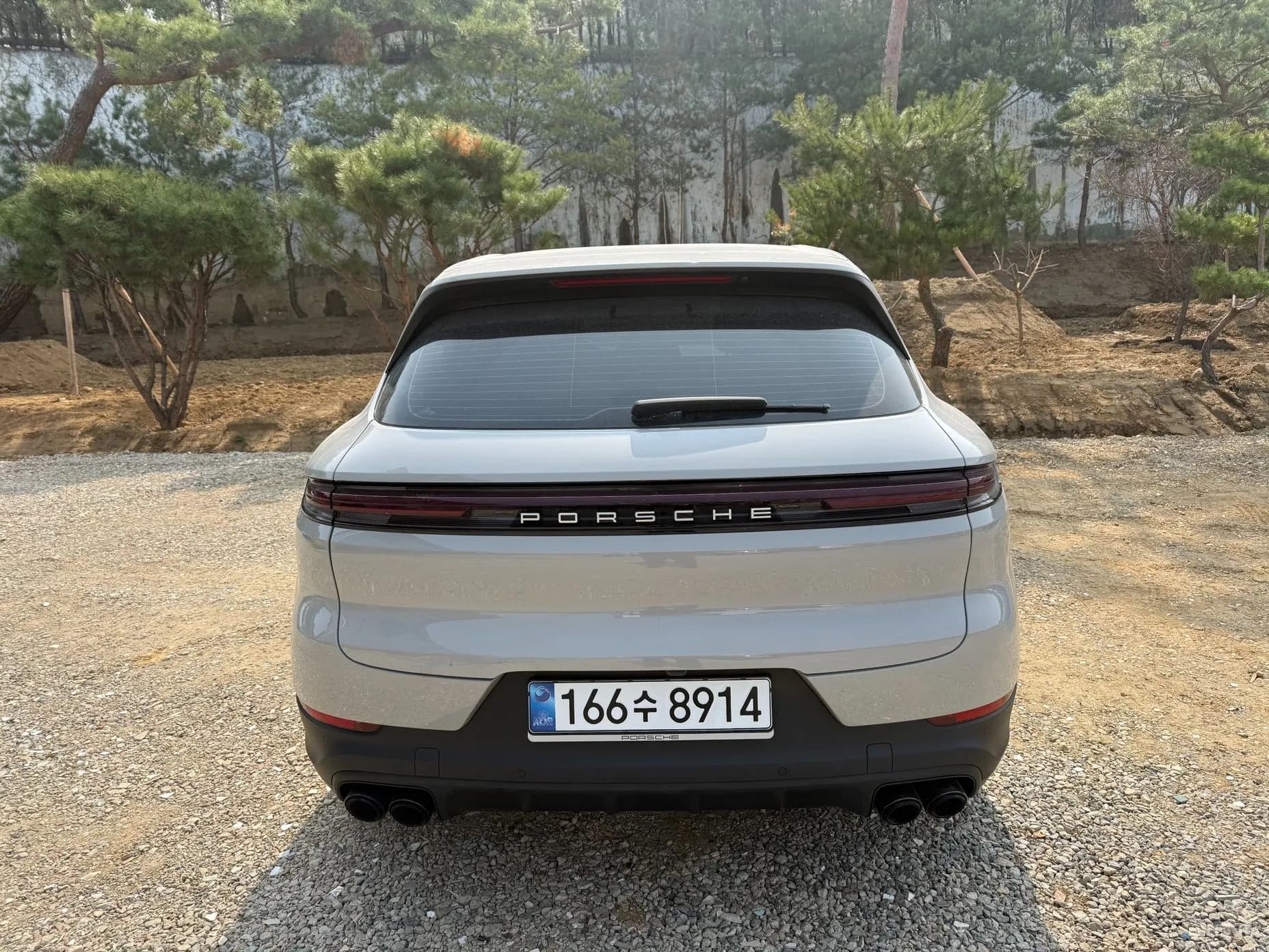 Cayenne (PO536)