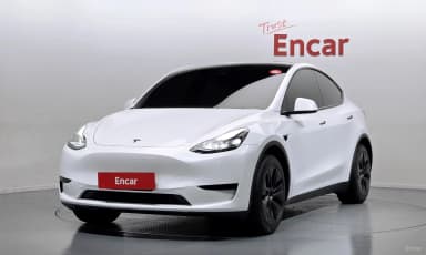 Model Y