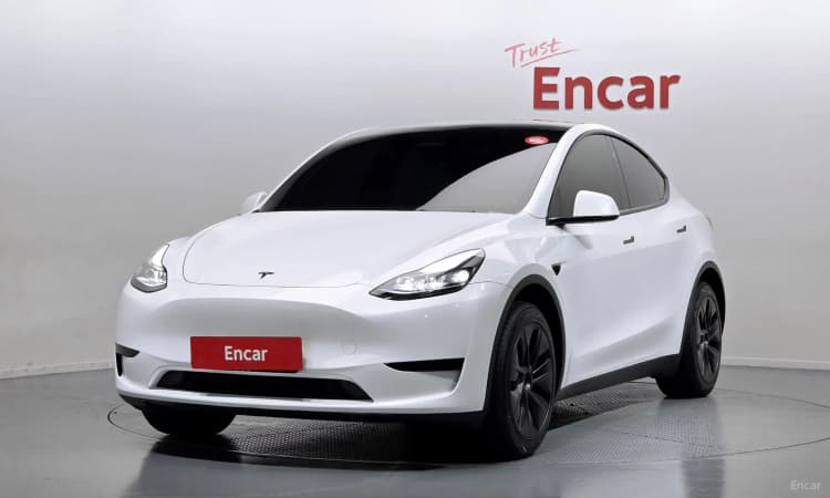 Model Y
