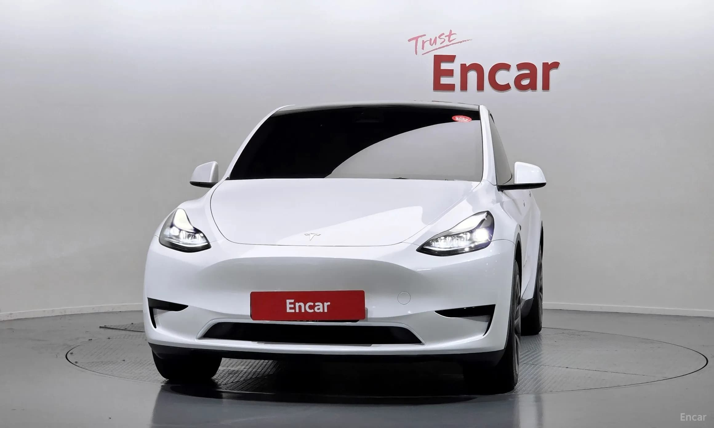 Model Y