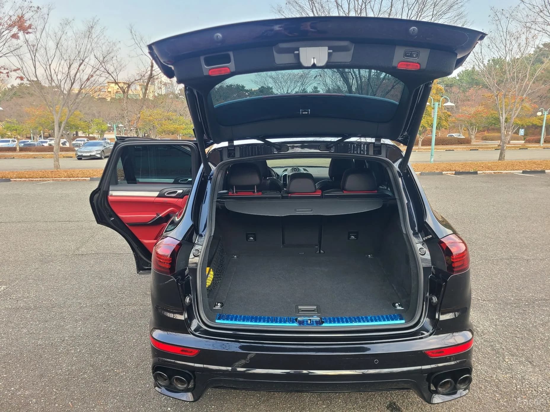 New Cayenne