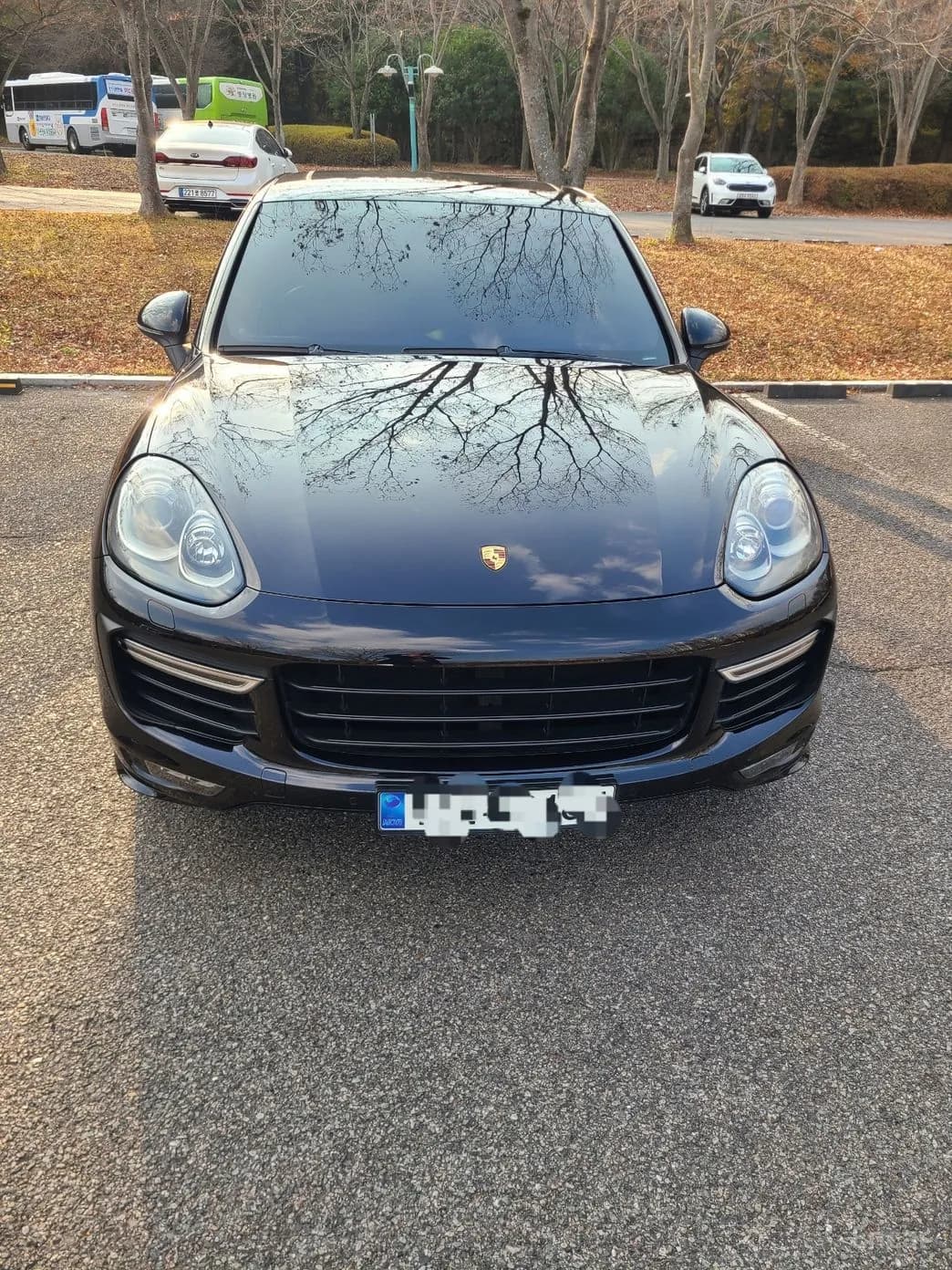 New Cayenne