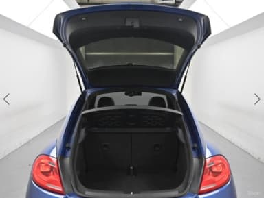 The Beetle