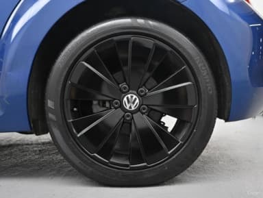 The Beetle