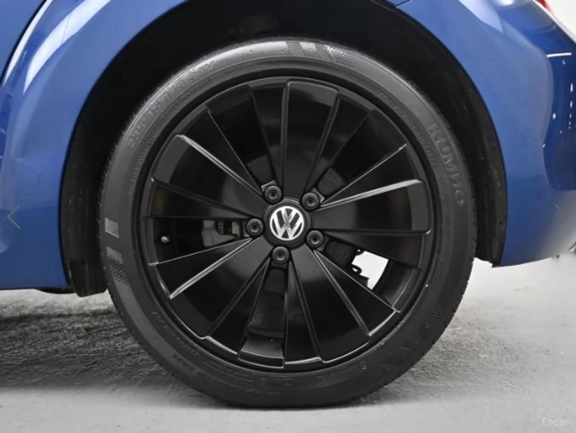 The Beetle