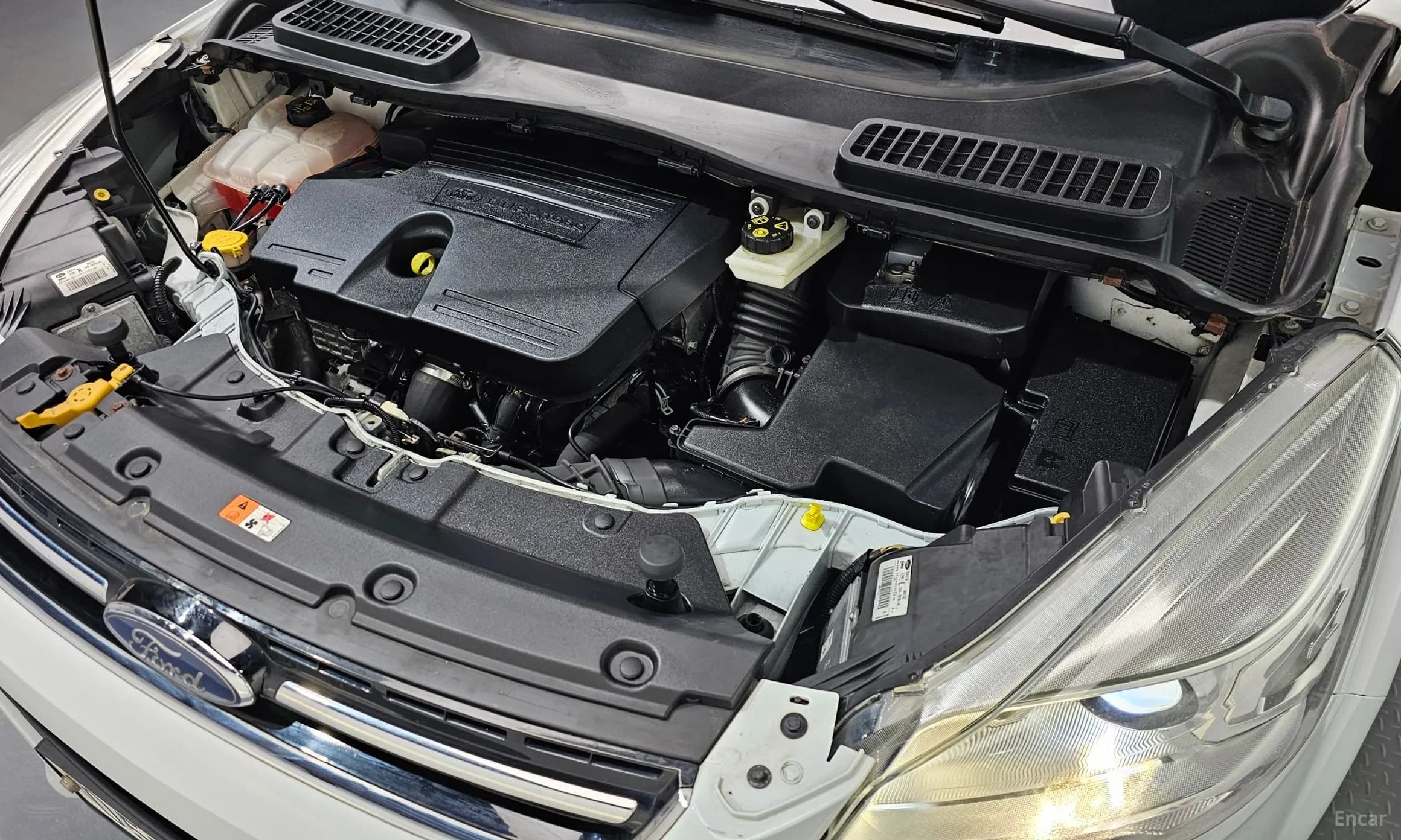 Cougar 2nd Generation