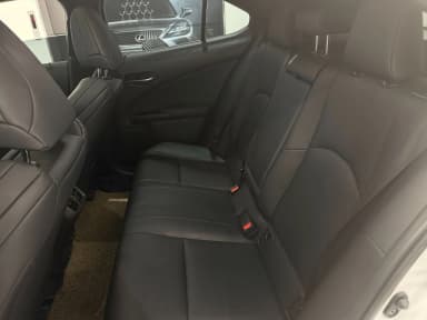 UX250h