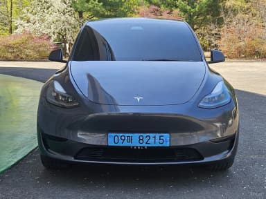 Model Y