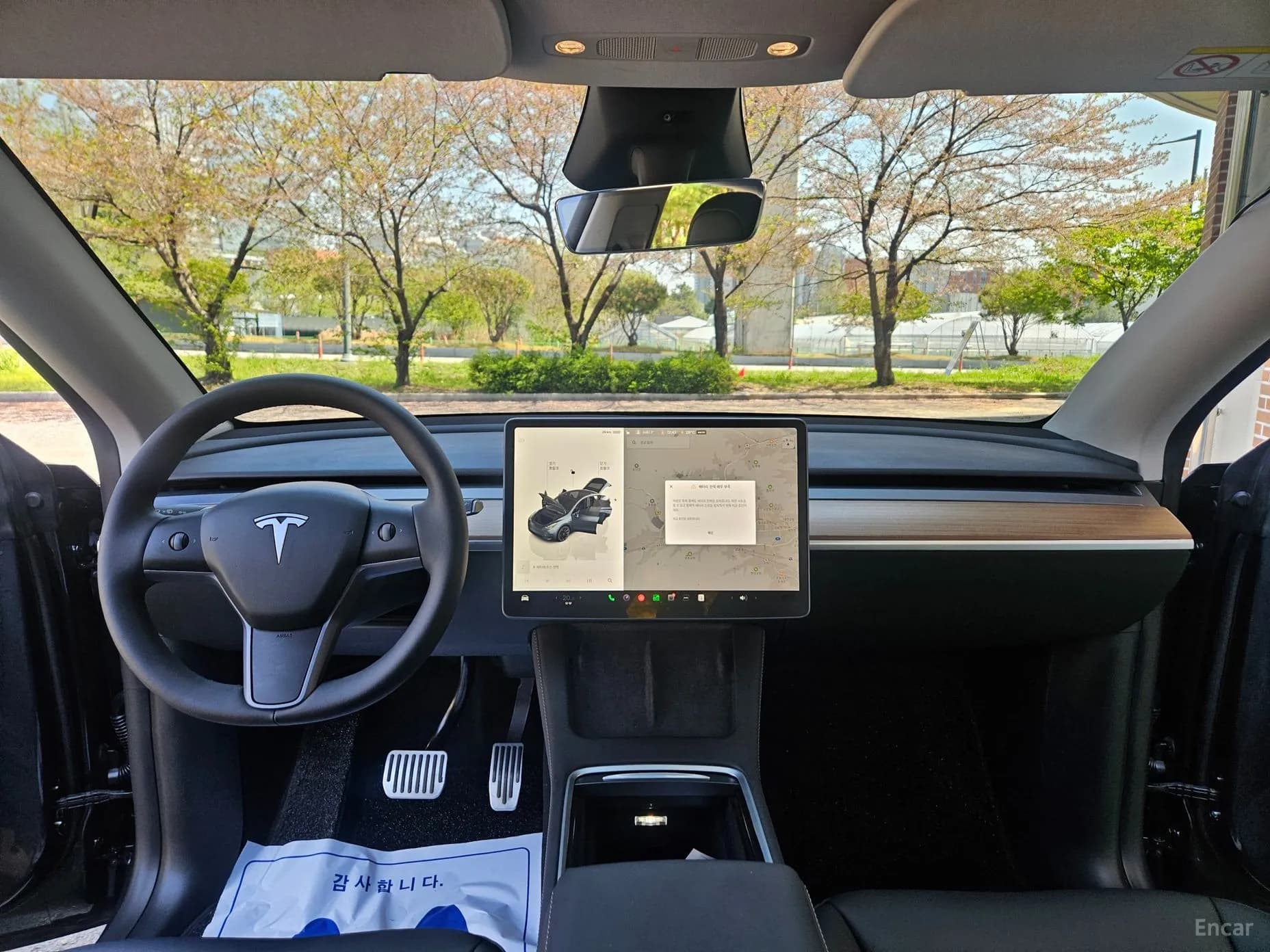 Model Y