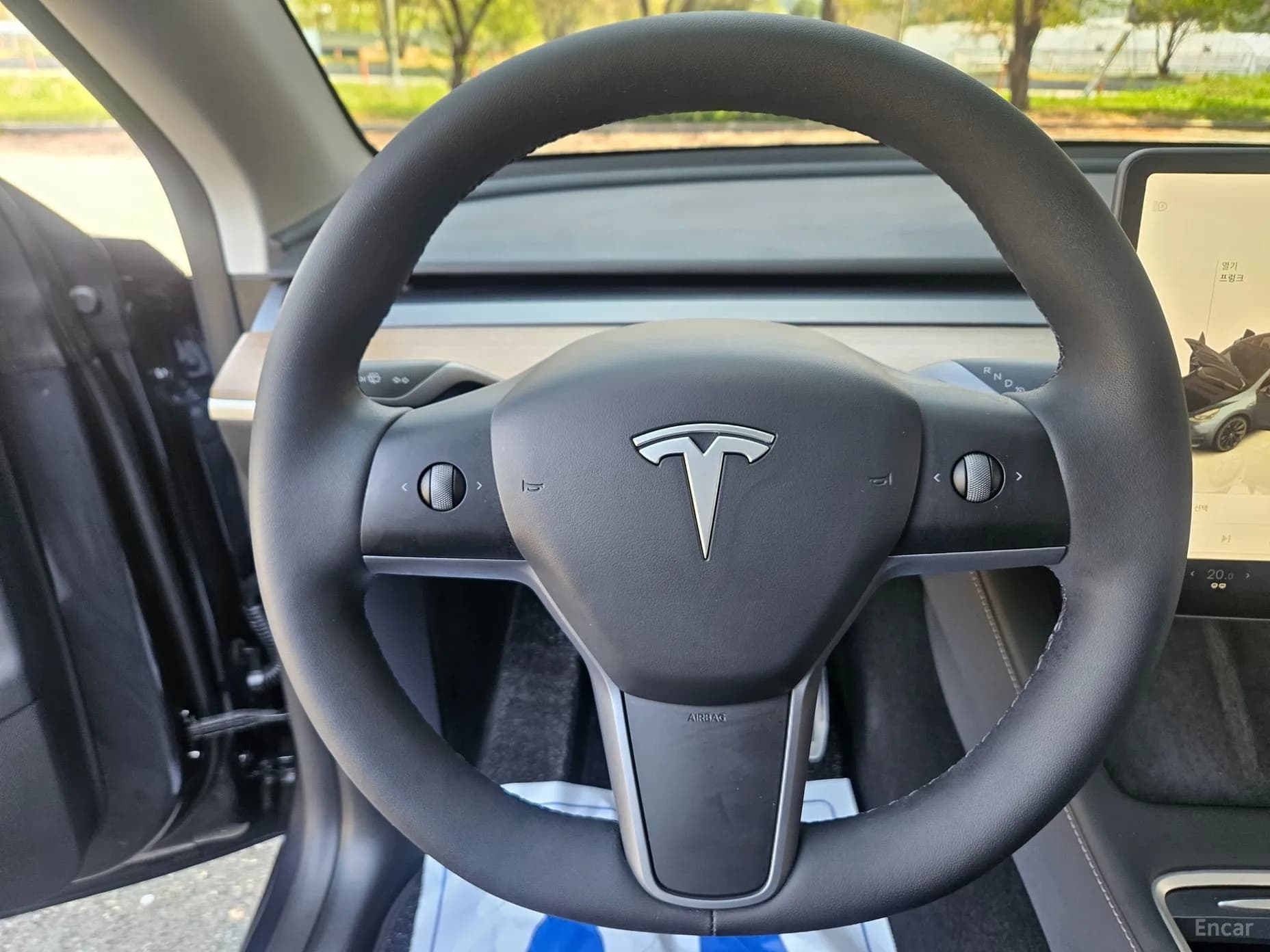 Model Y