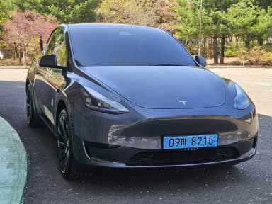 Model Y