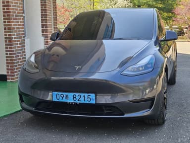 Model Y
