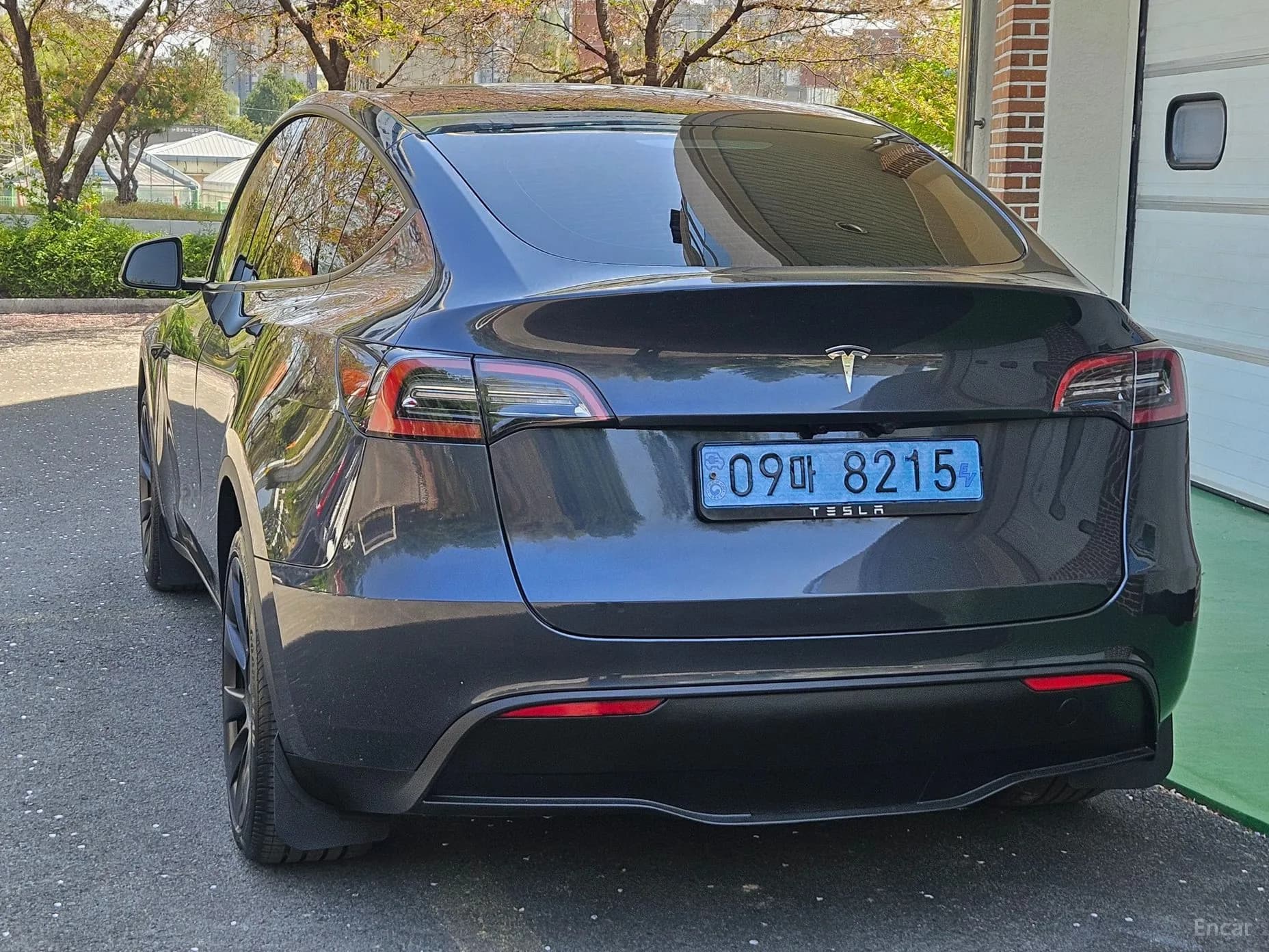 Model Y