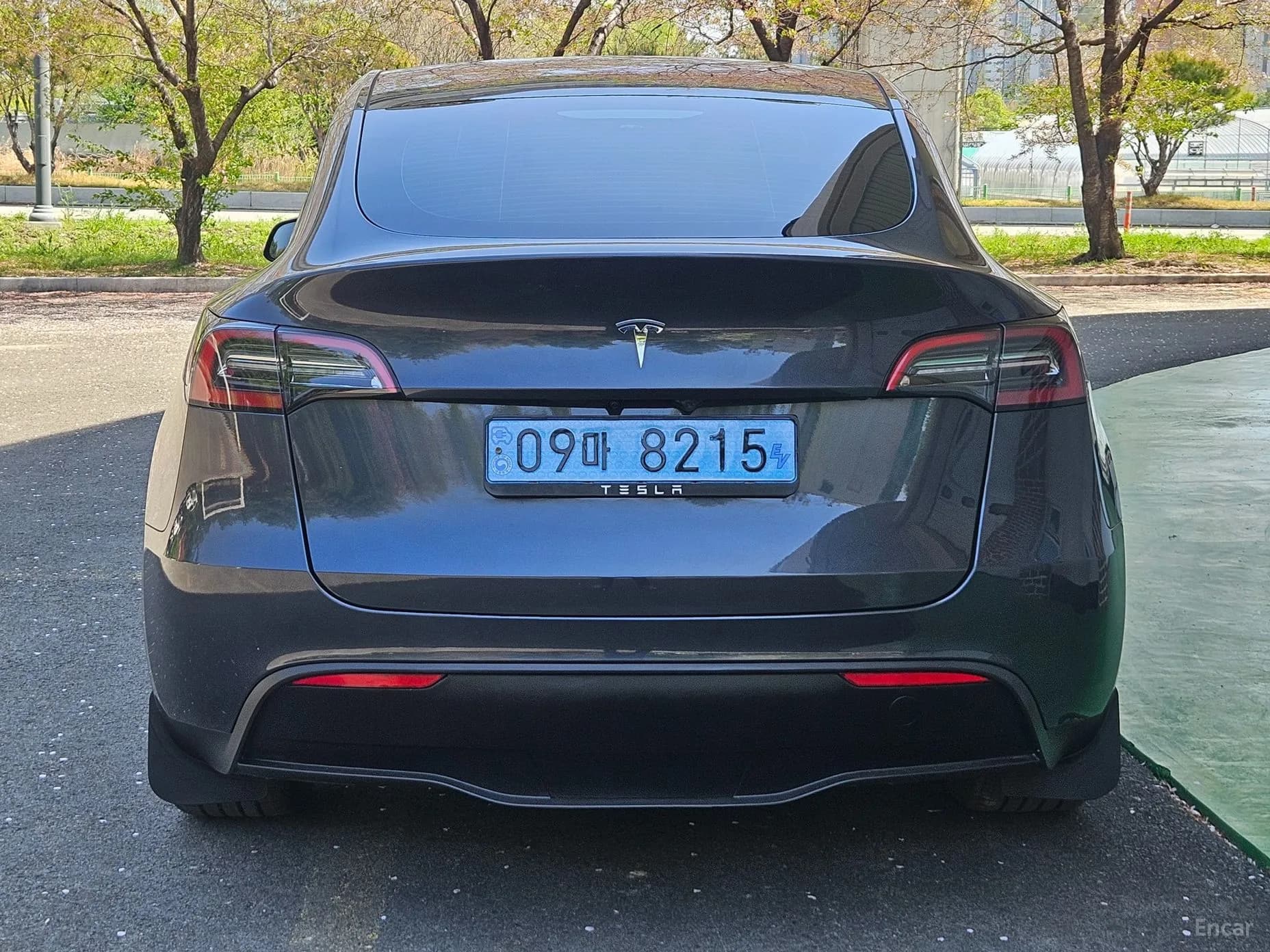 Model Y