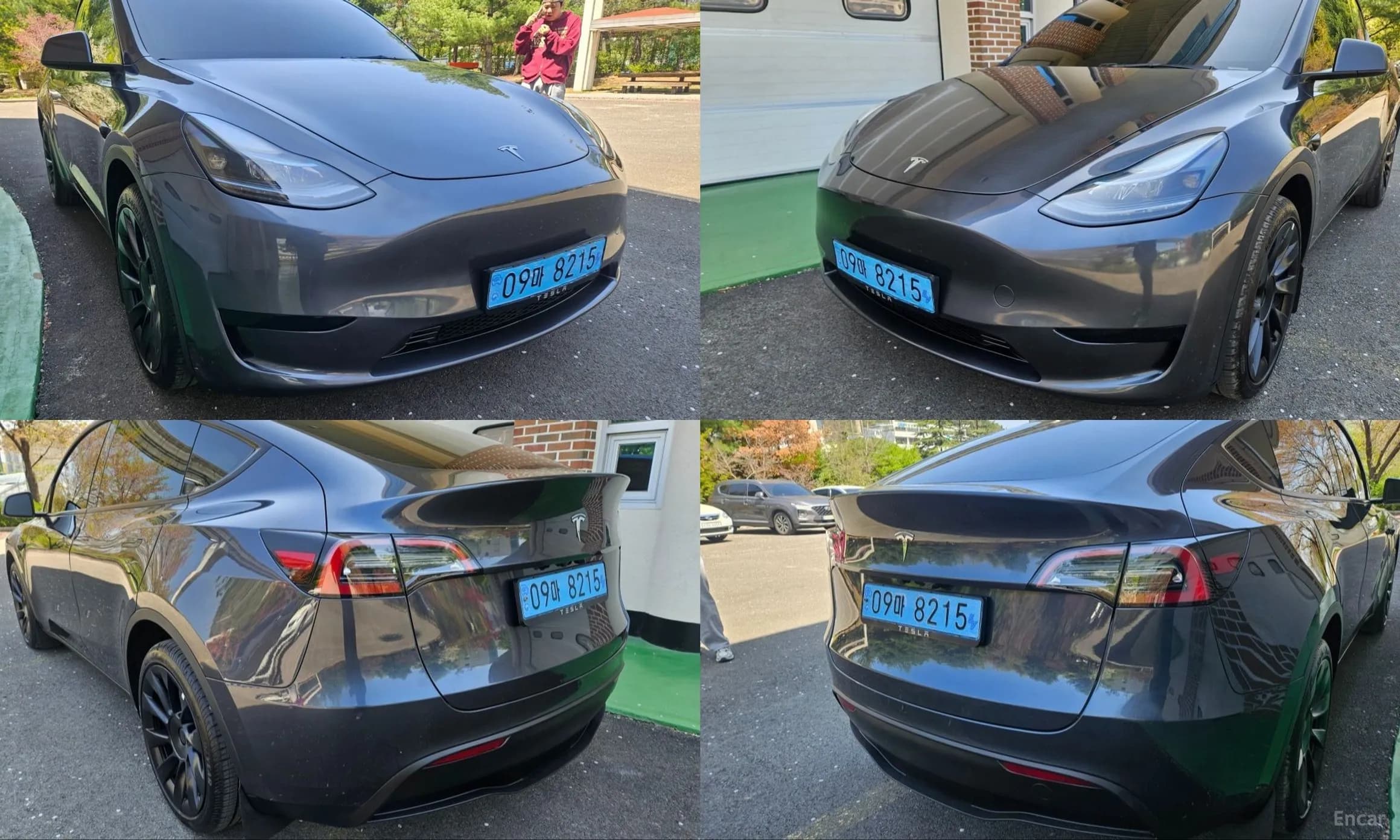 Model Y