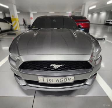 Mustang