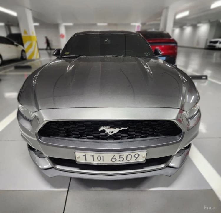 Mustang