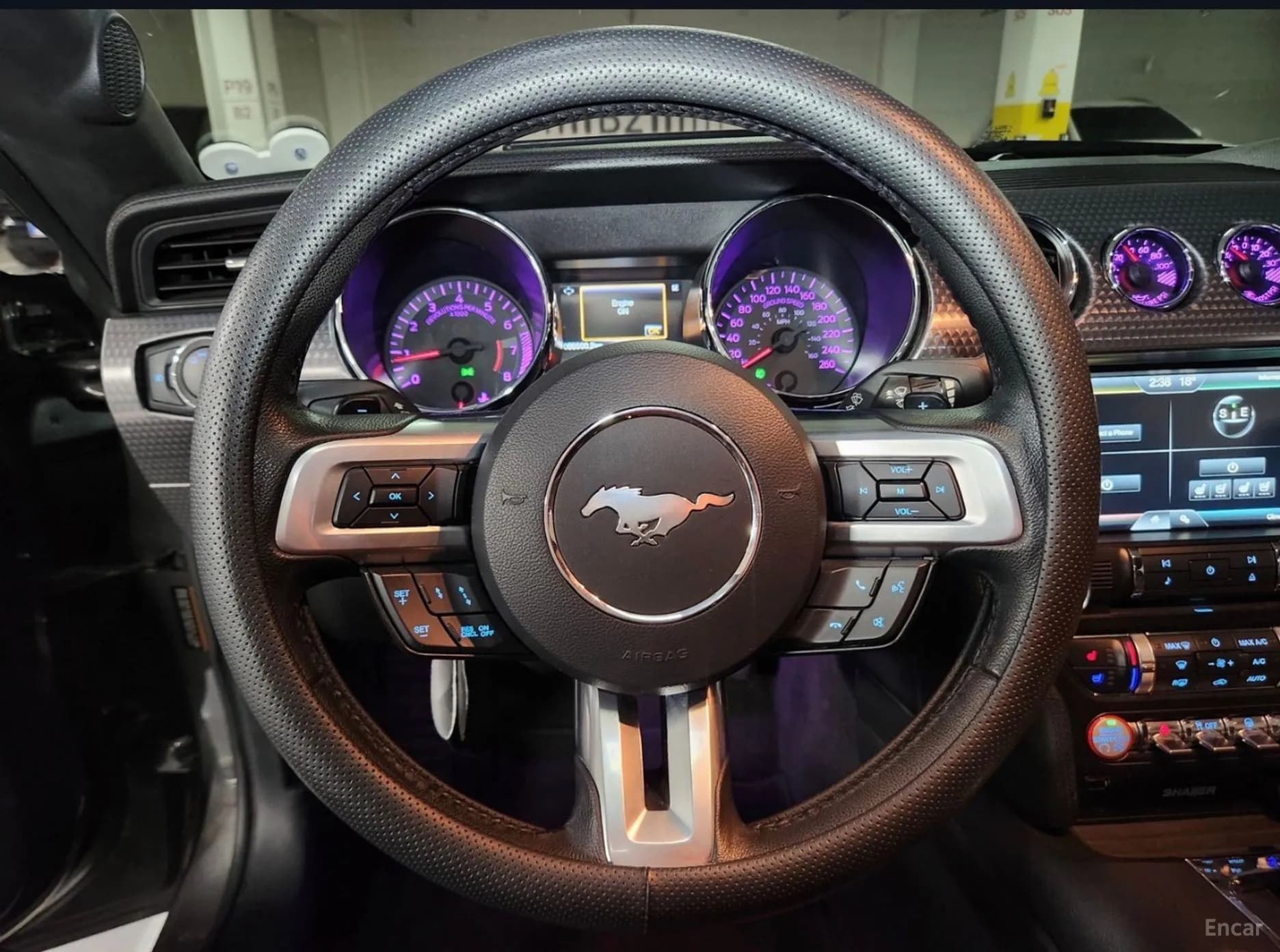 Mustang