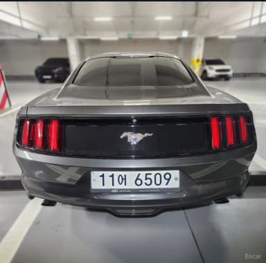 Mustang