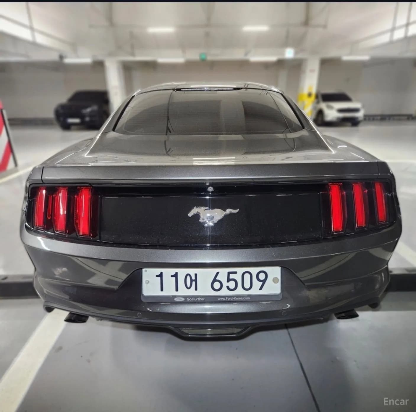 Mustang