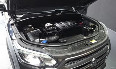 Rexton Sports