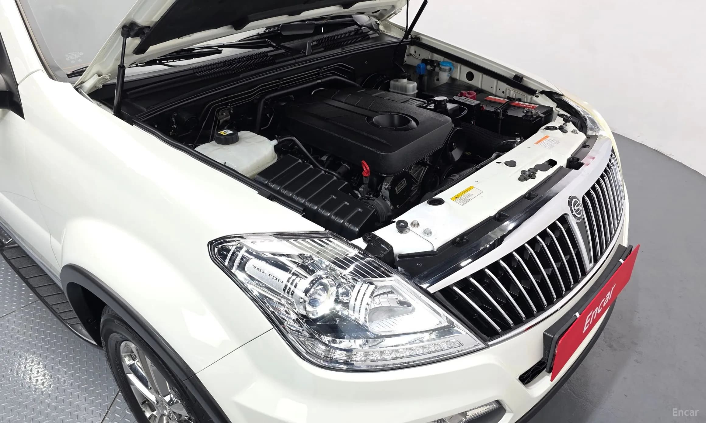 Rexton W